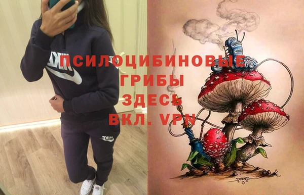 МДПВ Михайловск