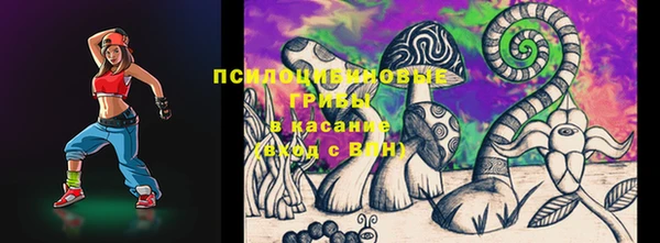 МДПВ Михайловск