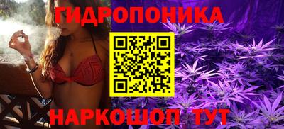 марки lsd Канаш