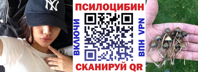 Псилоцибиновые грибы Psilocybe  Луга 