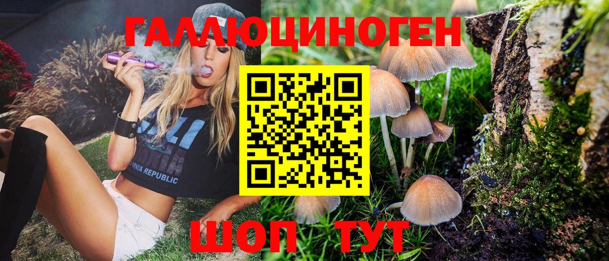 Галлюциногенные грибы Magic Shrooms  Вход с VPN  Луга 