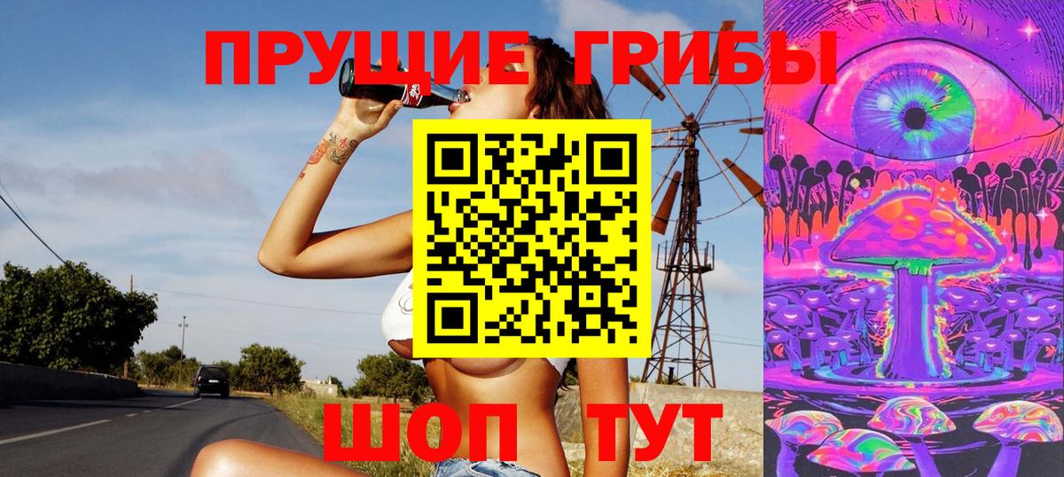 Псилоцибиновые грибы Psilocybine cubensis  Луга  Галлюциногенные грибы Psilocybine cubensis 