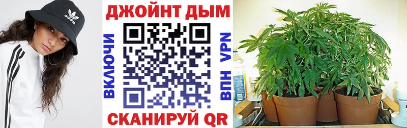мега зеркало  где можно купить наркотик  Луга  Шишки марихуана White Widow 